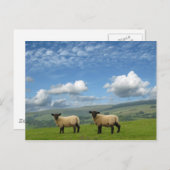 ランブス ポストカード (正面/裏面)