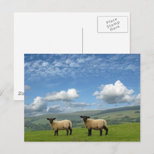 ランブス ポストカード (正面/裏面)