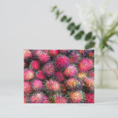 ランブタンの写真はがき ポストカード (スタンド正面)