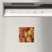 ランブタンフルーツアットカンドゥオック市場 マグネット (インサイチュ (食洗機))