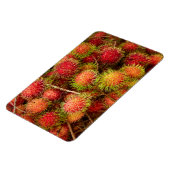 ランブタンフルーツアットカンドゥオック市場 マグネット (左側)