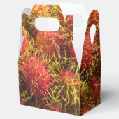 ランブタン熱帯果実 フェイバーボックス (オープン)