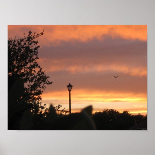 ランプの柱と鳥 ポスター (正面)