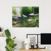 ランプポスターの白いアヒル ポスター (ホームオフィス)