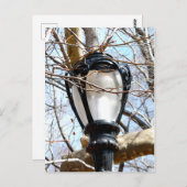 ランプポストニューヨークセントラルパーク ポストカード (正面/裏面)