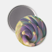 ランプワークボログラスシーパステルロータスバブルマグネット マグネット (正面/裏面)