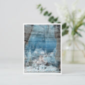 ランプーグ氷河、氷河ベイ国立公園 ポストカード (スタンド正面)