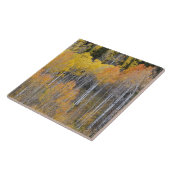 ランベルト·ホロウ、《植物》アスペンツリー タイル (側面)