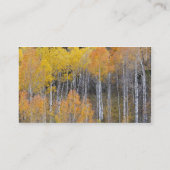 ランベルト·ホロウ、《植物》アスペンツリー 名刺 (裏面)