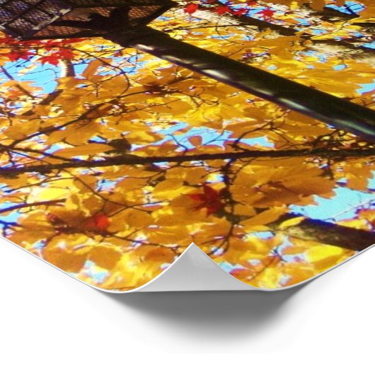 ランポスト ポスター (角)