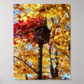 ランポスト ポスター (正面)