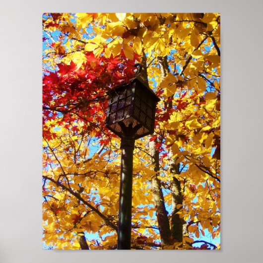 ランポスト ポスター (正面)