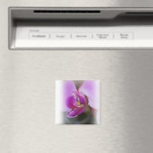 ラン磁石 マグネット (インサイチュ (食洗機))