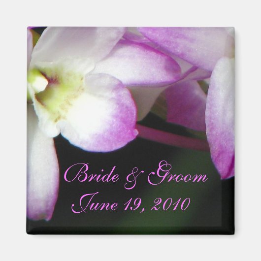 ラン磁石 マグネット (正面)