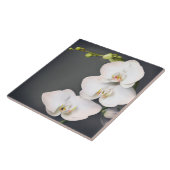 ラン科(白い蘭 タイル (側面)