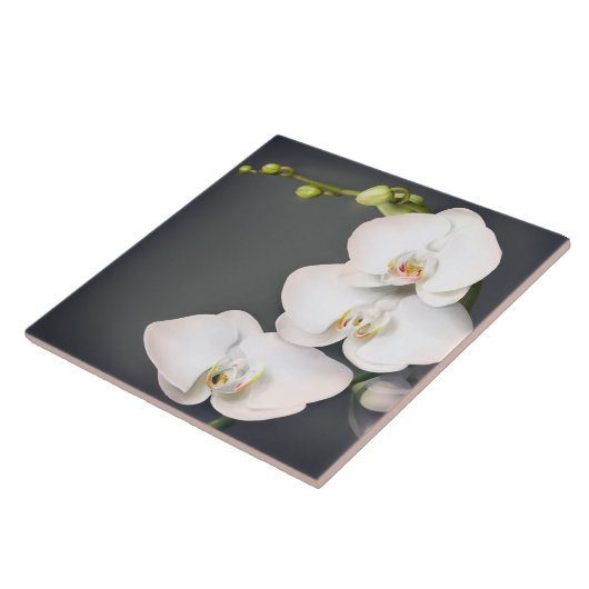 ラン科(白い蘭 タイル (側面)