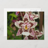 ラン素晴らし数々のクの色の頭蓋 ポストカード (正面/裏面)