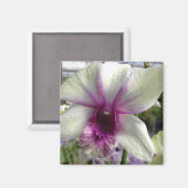 ラン花磁石 マグネット (正面/裏面)