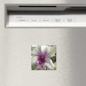 ラン花磁石 マグネット (インサイチュ (食洗機))