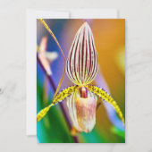 ラン花 カード (正面)