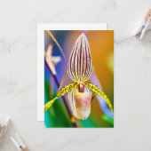 ラン花 カード (正面/裏面インサイチュ)