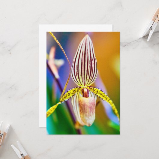 ラン花 カード (正面/裏面インサイチュ)
