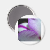 ラン花 マグネット (正面/裏面)