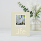 ラン1お祝いの生き葬式発表 招待状 (スタンド正面)