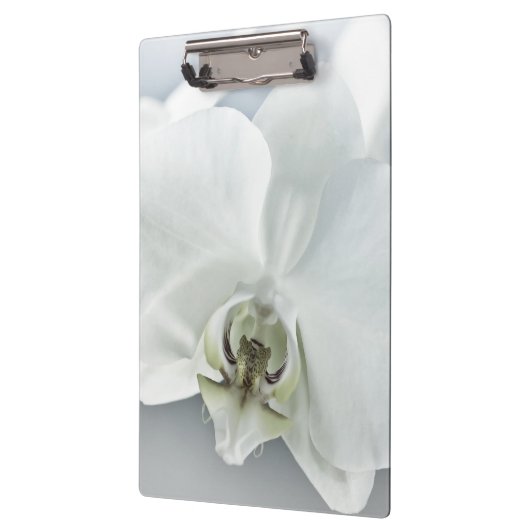 ラン クリップボード (左)