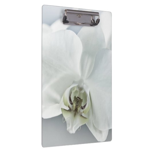 ラン クリップボード (右)