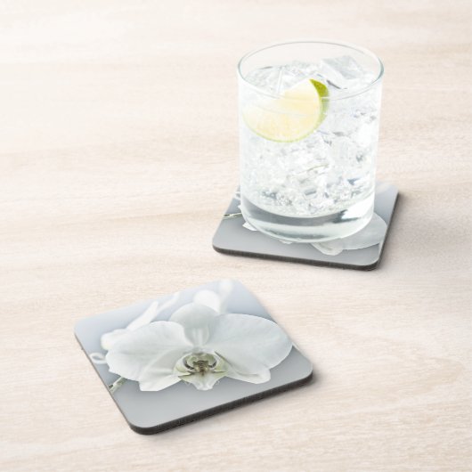 ラン コースター (右側)