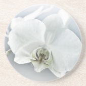 ラン コースター (正面)