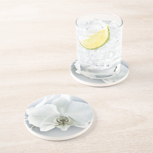 ラン コースター (側面)