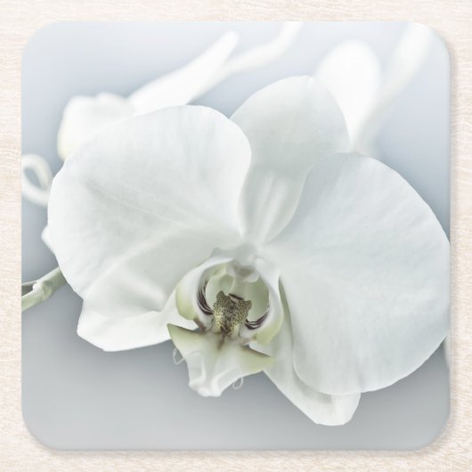 ラン スクエアペーパーコースター (正面)