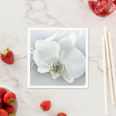 ラン スタンダードカクテルナプキン (インサイチュ)