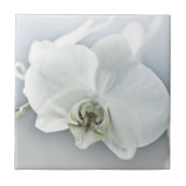 ラン タイル (正面)