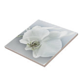 ラン タイル (側面)