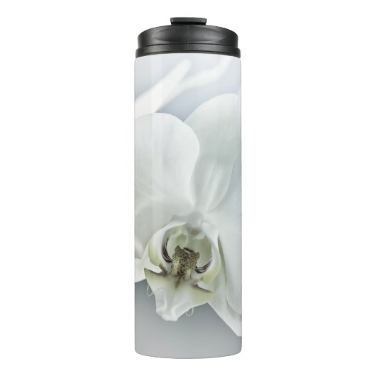 ラン タンブラー (正面)