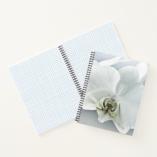 ラン ノートブック (内部)