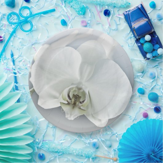 ラン ペーパープレート (パーティー)