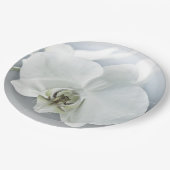 ラン ペーパープレート (アングル)