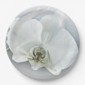 ラン ペーパープレート (正面)