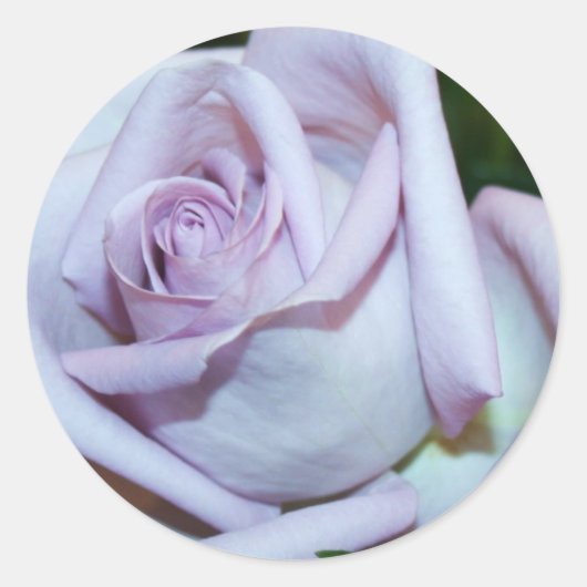 ラヴァンドールバラ封筒用シール&シール ラウンドシール (正面)