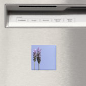 ラヴァンドール磁石 マグネット (インサイチュ (食洗機))