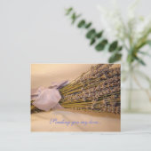 ラヴァンドール葉書 ポストカード (スタンド正面)