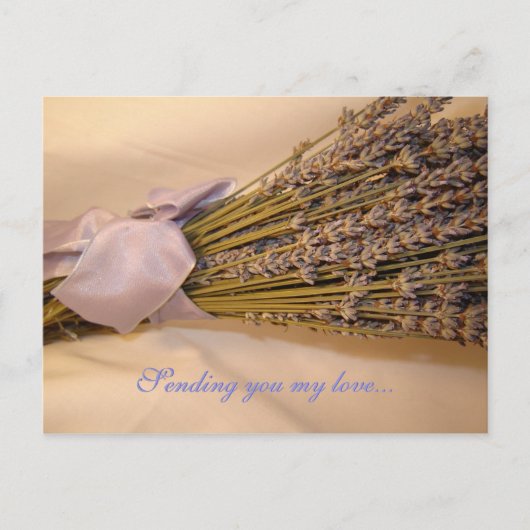 ラヴァンドール葉書 ポストカード (正面)