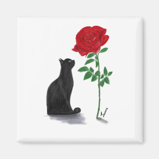 ラヴィアンバラデパチャ マグネット