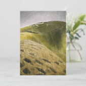 『ラヴィリアス白馬の戦い』 シーズンカード (スタンド正面)