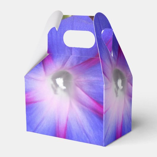 ラヴィル・ガイアール フェイバーボックス (裏面サイド)