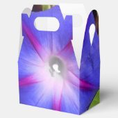 ラヴィル・ガイアール フェイバーボックス (オープン)